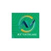 Av Yayınları