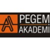 Pegem Akademi Yayınları